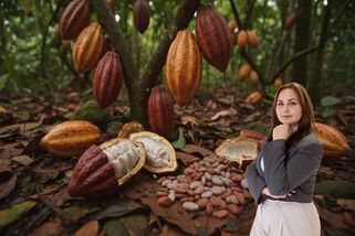 Trh s kakaem se prudce ochladil. Africké země reagují na pokles cen a přebytek zásob