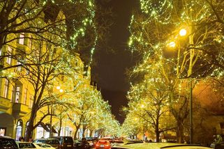 „Vykašlete se na ni, je nevděčná,“ řekl junior seniorovi tlačícímu invalidní vozík. A měl pravdu - Médium.cz