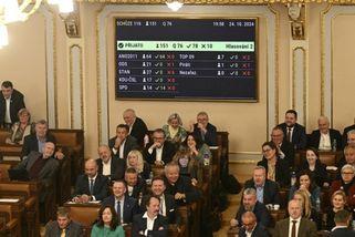 O usneseních ANO a SPD k zmrazení platů politiků Sněmovna nehlasovala