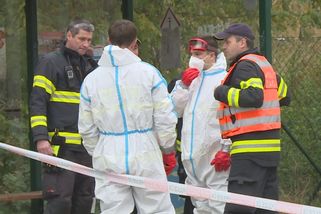 Veterináři likvidují ohnisko ptačí chřipky. Utratit musí tisíce hus a kachen