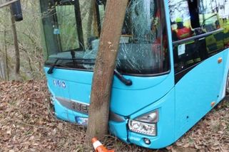 Opilý řidič autobusu v Přerově naboural do stromu. Nadýchal skoro tři promile - Novinky