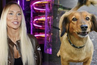 Erika Eliášová upozornila na případ týraného jezevčíka. U soudu zazněly strašlivé detaily