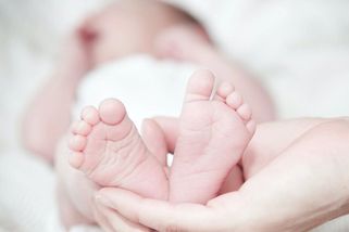 České porodnictví má skvělé výsledky, ale i značný počet žalob | Dělníci života