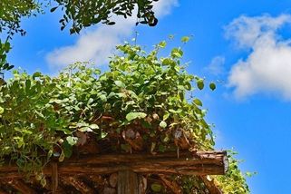 Ta vaše pergola ale povolení potřebuje