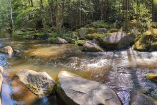 Z Lipna nad Vltavou do Vyššího Brodu - Médium.cz