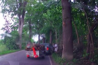 Zfetovaný řidič si po nehodě přesedl. Výměnu za volantem natočil svědek - Novinky