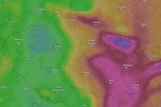 Meteorologové varují před silným větrem - Novinky