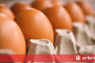 Vajíčka letos na Velikonoce podraží. Češi si připlatí oproti loňsku až o 11 procent