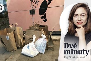 Glosa: Rohlík je špička ledovce v zasmrádlých pracovních vodách - Seznam Zprávy