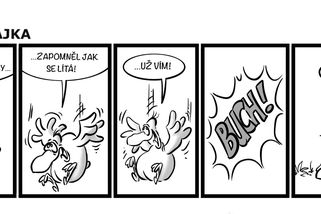 Bajka - nebajka: Když pták zapomene základní dovednost, má problém - Médium.cz