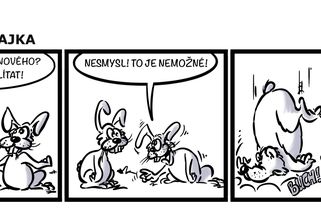 Bajka - nebajka: Naučí se medvědi létat? - Médium.cz