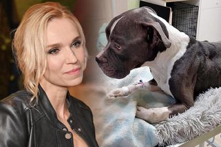 Muž týral pejska s nezvyklou krutostí. Více než měsíc mu nedal najíst, údajně šlo o pomstu partnerce. České celebrity zuří – eXtra.cz