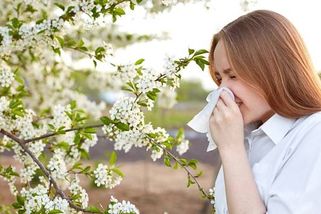 Začala pylová sezona. Alergikům pomohou prášky i mobilní aplikace