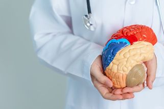 Neurologové radí, jakým potravinám je lepší se vyhnout - Novinky