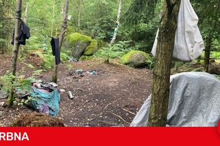 Kolonie bezdomovců na Proseči zmizela. V lese zůstaly dvě tuny odpadu