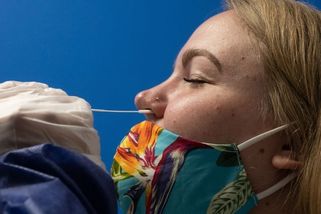 V Česku se objevila nová subvarianta omikronu - Seznam Zprávy