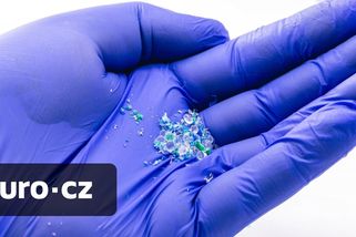 Jak zatočit se všudypřítomnými mikroplasty? Dle vědců z čínského Wu-chanu může přinést řešení houba z bavlny a kostí olihní - Euro.cz