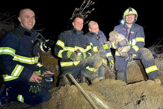 Pes vběhl do nory za liškou. Ven ho dostali až jihočeští hasiči - Novinky