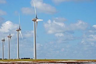 Elektřina z větrníků je příliš levná. Technologický lídr trhu se bojí o své marže - Novinky