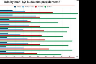 Průzkum: Češi chtějí nezávislého prezidenta s morální autoritou. V preferencích vede Babiš, za ním Eben