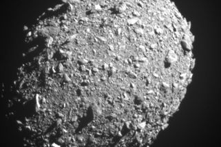 Glosa: Jsme jen opice v oblecích - Seznam Zprávy