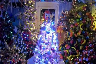 Blikající domov. Manželé si ozdobili 444 vánočních stromků - Novinky