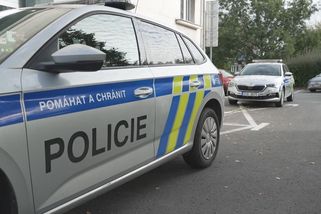 Dva chlapci přepadli v Havířově seniorku. Ta se ubránila a zavolala na ně policii