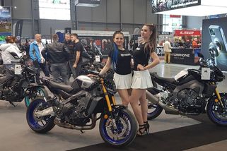 Milovníci jedné stopy míří do Brna. Bude mezi nimi i první dáma - Novinky