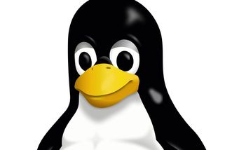 Vpusťte tučňáka! - Médium.cz