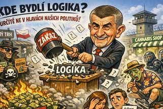 Babiš zakáže kratom. Černý trh říká díky - Médium.cz
