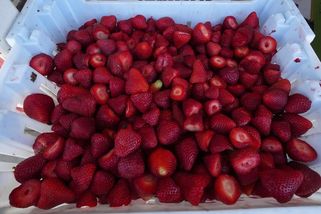 Zdražení po 15 letech. Wimbledon navýšil cenu neodmyslitelné laskominy - Sport.cz