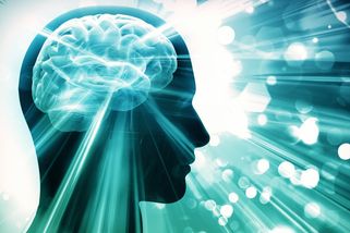 Čím chytřejší, tím starostlivější aneb Proč lidi s nižším IQ chodí šťastně po světě - Médium.cz