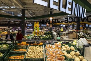 Komentář: Nekamenujte Fialu, když slibuje platy jako v Německu - Seznam Zprávy