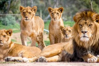 KVÍZ: Troufnete si na přírodopis základní školy? Žáci mají výrazně lepší výsledky než jejich rodiče