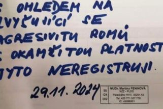Dětská lékařka odmítla v Aši registrovat agresivní Romy - Novinky