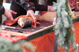 Zabíjet kapra na Vánoce? Svátek míru oslavujeme aktem násilí - Médium.cz