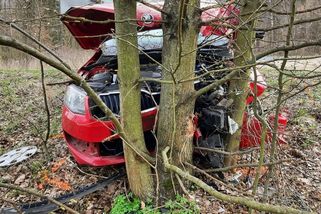Osmnáctiletý řidič na Šumpersku nezvládl auto a narazil do stromu - Novinky