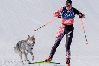 Fotky: Nečekaný závodník. Pes narušil olympijský závod, má i cílový snímek | Sport