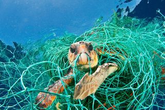 Přelomová dohoda o ochraně oceánů začíná konečně platit. I přesto, že se k ní Česko nepřipojilo - Médium.cz