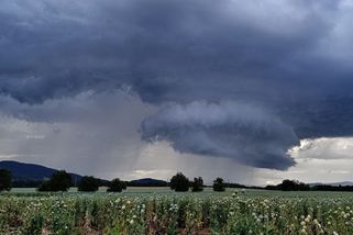 Bude skoro pořád pršet. Přes Česko přejdou dvě studené fronty - Novinky