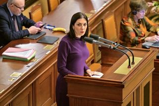 Pekarová Adamová by chtěla zákon o střetu zájmů projednat ještě v tomto období