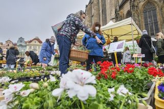 Skoro nám utrhali ruce, říkají prodejci na farmářských trzích - Novinky