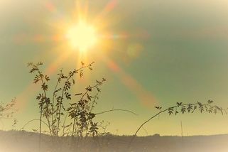 i60.cz: Můj podzim života: Jsem tady a žiju