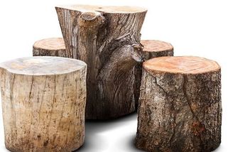 Máte špalek? Zvažte jeho prodej, než ho spálíte. Platí se za něj královsky