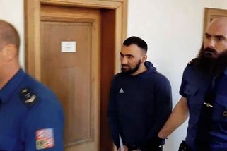 Za vraždu seniorky, která mu na Kolínsku poskytla dočasný domov, dostal Řek 17 let - Novinky