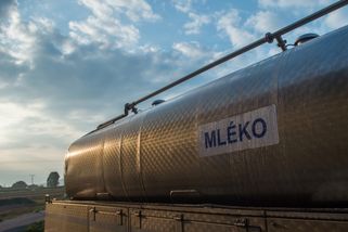 Mlékárenský svaz: Loňský pokles poptávky po mléčných výrobcích v ČR pokračuje