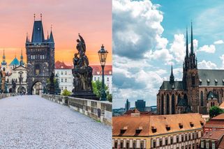 Derby Praha – Brno: Mýtus, nebo skutečná řevnivost? - Proženy.cz