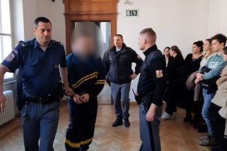 Muž dostal doživotí. Byl to brutální masakr, doslova vyhladil rodinu, řekla soudkyně - Novinky