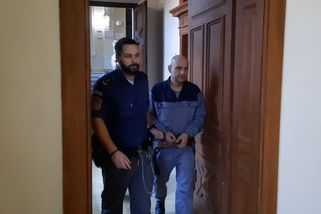 Brněnský šíbr jel v půlmiliardovém daňovém úniku, k tomu ovlivňoval zakázky. Uhrál to na tři roky a pokutu - Novinky