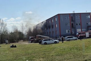 Ve firmě v Otrokovicích znovu hořelo, škody jdou do milionů - Novinky